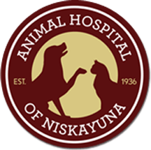 <span>Animal Hospital of Niskayuna</span>
 logo