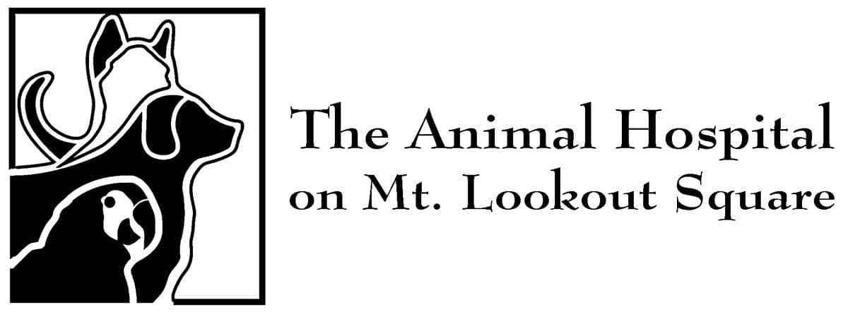 <span>Animal Hospital on Mt Lookout Square</span>
 logo