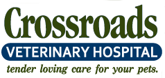 <span>Crossroads Veterinary Hospital</span>
 logo