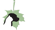 <span>Twin Maple Veterinary Hospital</span>
 logo