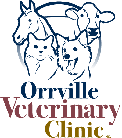 <span>Orrville Veterinary Clinic Inc</span>
 logo