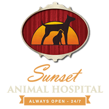 <span>Sunset Animal Hospital</span>
 logo