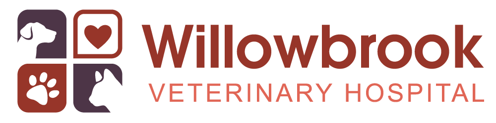 <span>Willowbrook Veterinary Hospital</span>
 logo