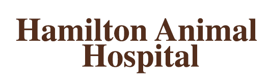 <span>Hamilton Animal Hospital</span>
 logo