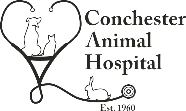 <span>Conchester Animal Hospital</span>
 logo