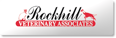 <span>Rockhill Veterinary Associates</span>
 logo