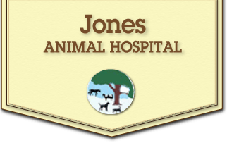 <span>Jones Animal Hospital</span>
 logo