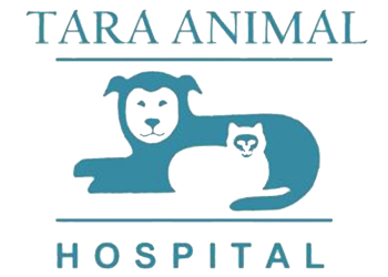 <span>Tara Animal Hospital</span>
 logo