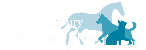 <span>Granbury Animal Clinic Inc</span>
 logo