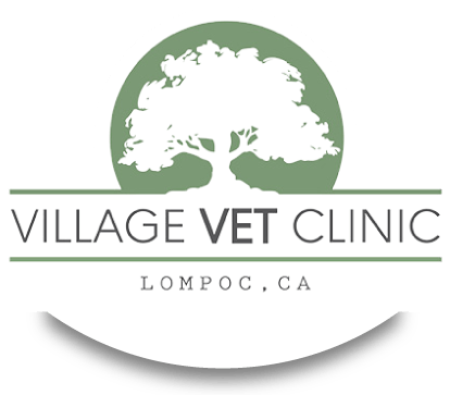 <span>Village Veterinary Clinic</span>
 logo