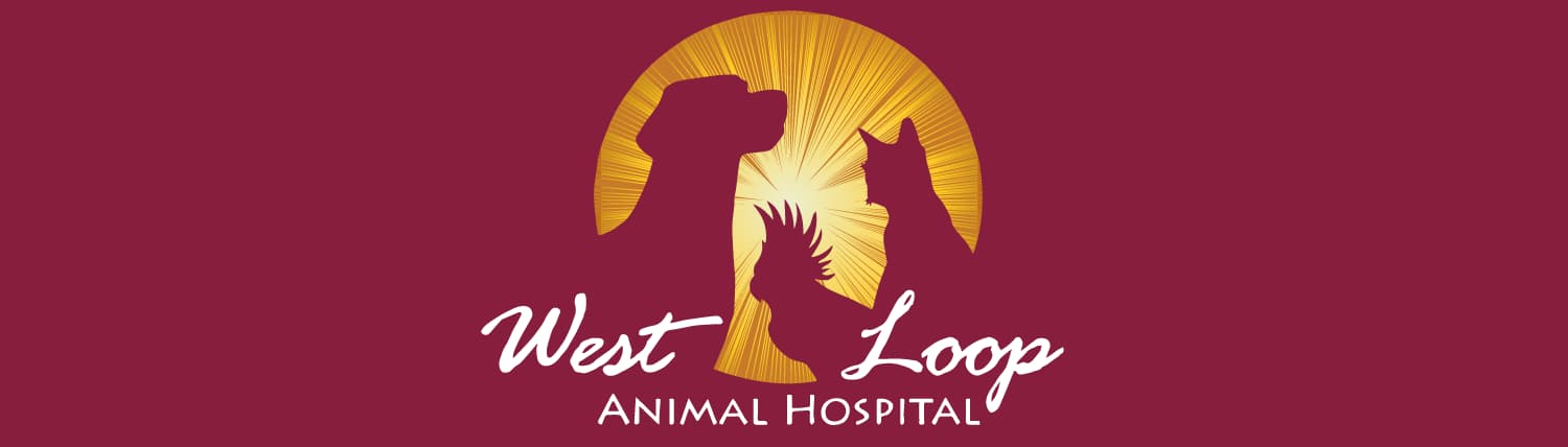 <span>West Loop Animal Hospital</span>
 logo