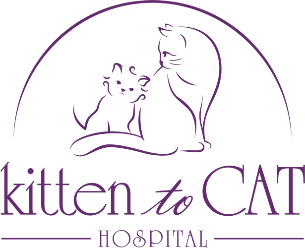 <span>Kitten To Cat Hospital</span>
 logo