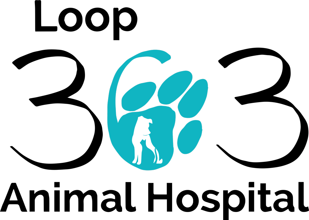 <span>Loop 363 Animal Hospital</span>
 logo