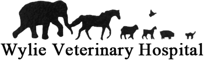 <span>Wylie Veterinary Hospital</span>
 logo