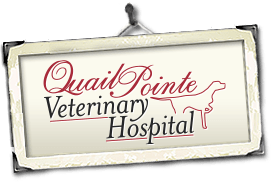 <span>Quail Pointe Veterinary Hospital</span>
 logo