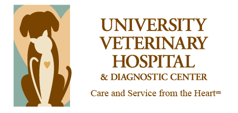 <span>University Veterinary Hospital</span>
 logo