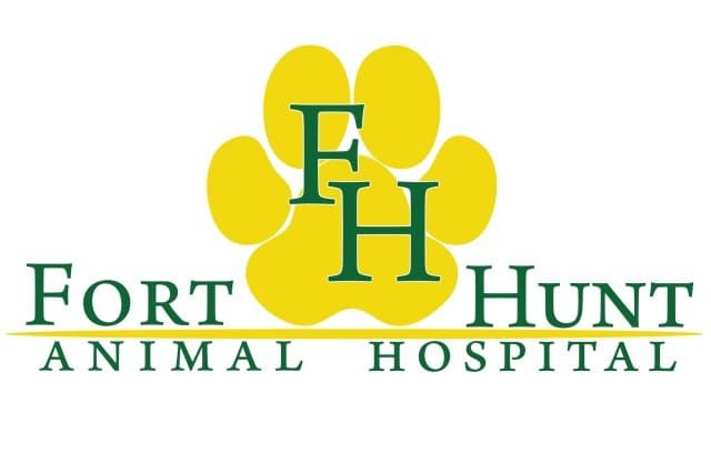 <span>Fort Hunt Animal Hospital</span>
 logo