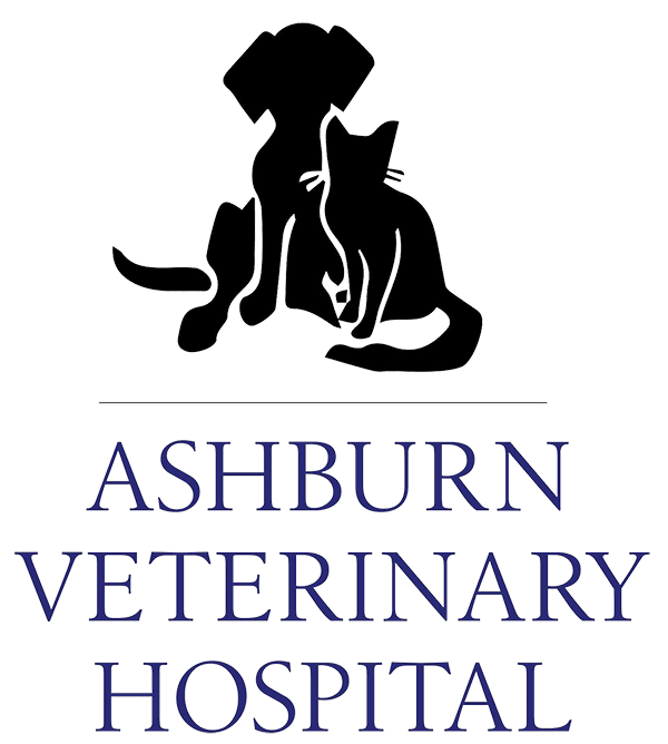 <span>Ashburn Veterinary Hospital</span>
 logo