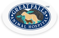 <span>Great Falls Animal Hospital</span>
 logo