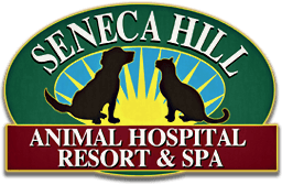 <span>Seneca Hill Animal Hospital Resort & Spa</span>
 logo