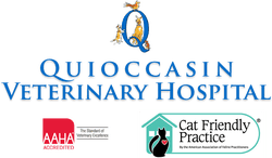 <span>Quioccasin Veterinary Hospital</span>
 logo