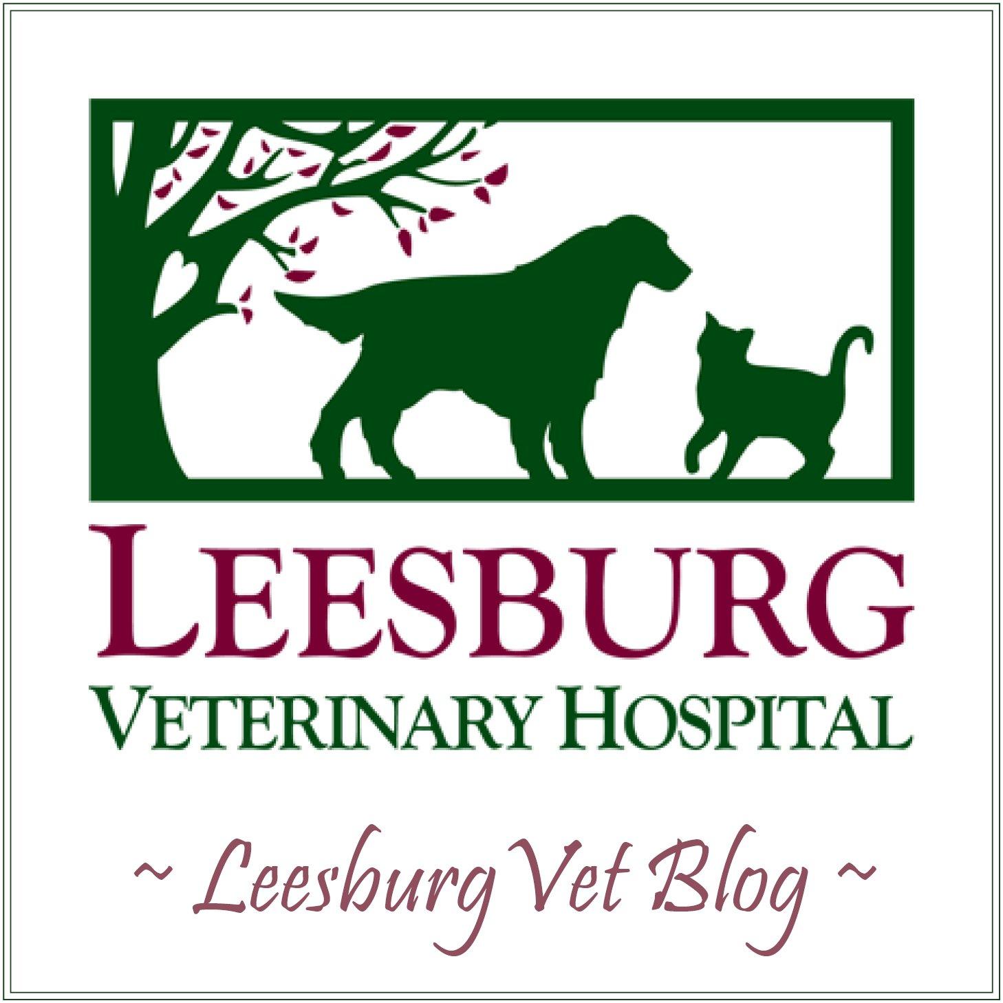 <span>Leesburg Veterinary Hospital</span>
 logo