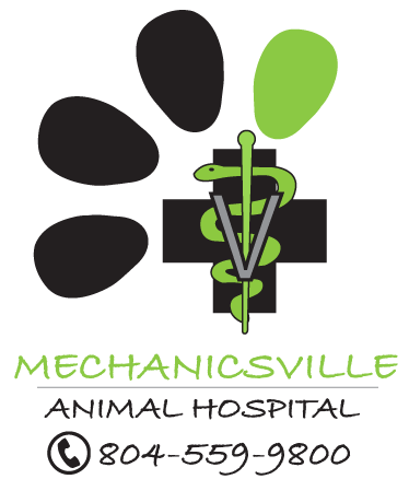 <span>Mechanicsville Animal Hospital</span>
 logo