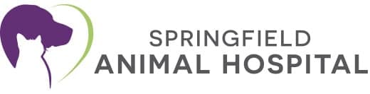 <span>Springfield Animal Hospital</span>
 logo