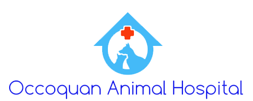 <span>Occoquan Animal Hospital</span>
 logo