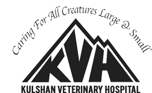 <span>Kulshan Veterinary Hospital - Lynden</span>
 logo