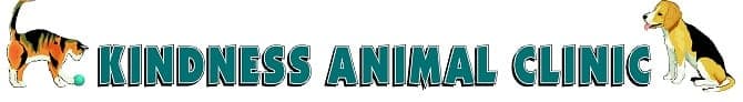 <span>Kindness Animal Clinic</span>
 logo