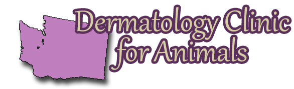 <span>Dermatology Clinic for Animals</span>
 logo