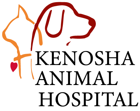 <span>Kenosha Animal Hospital</span>
 logo