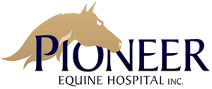 <span>Pioneer Equine Hospital Inc</span>
 logo