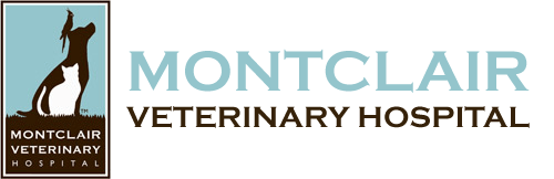 <span>Montclair Veterinary Hospital</span>
 logo