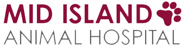 <span>Mid Island Animal Hospital</span>
 logo