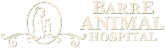 <span>Barre Animal Hospital</span>
 logo