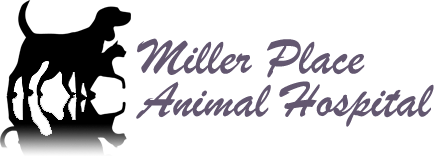 <span>Miller Place Animal Hospital</span>
 logo