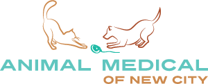 <span>Animal Medical of New City PC</span>
 logo