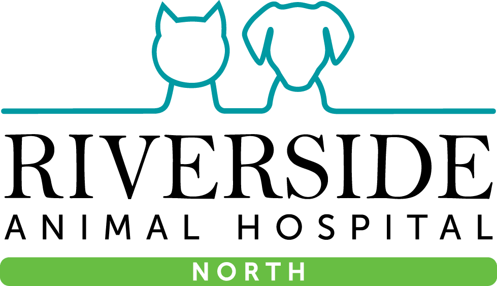 <span>Riverside Animal Hospital</span>
 logo