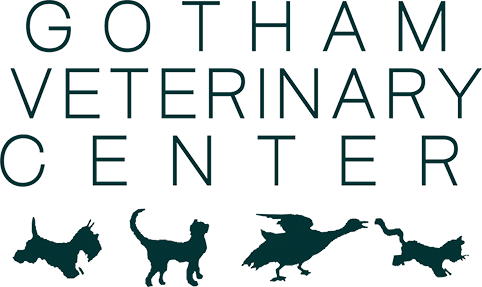 <span>Gotham Veterinary Center</span>
 logo