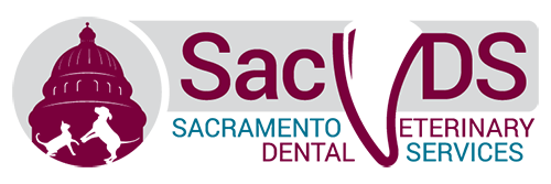 <span>Sacramento Veterinary Dental Specialtist</span>
 logo