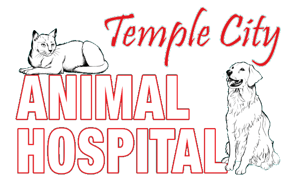 <span>Temple City Animal Hospital</span>
 logo