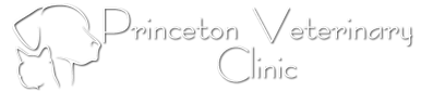 <span>Princeton Veterinary Clinic</span>
 logo