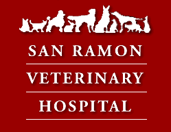 <span>San Ramon Veterinary Hospital</span>
 logo