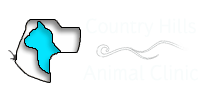 <span>Country Hill Animal Clinic</span>
 logo