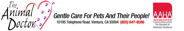 <span>Animal Doctor</span>
 logo