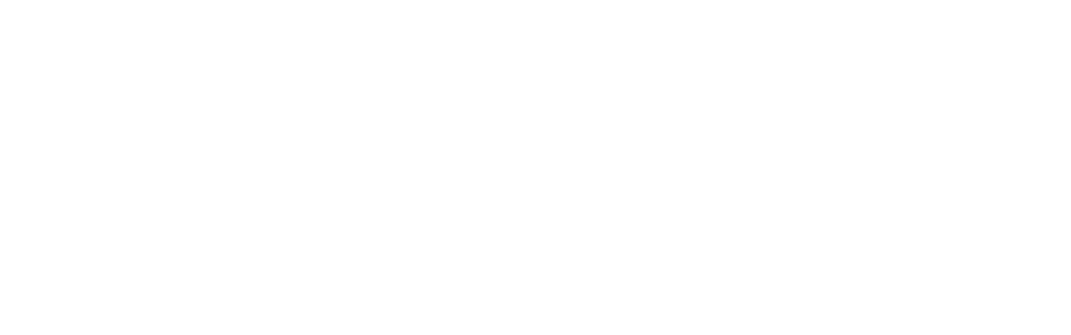 <span>Aurora Animal Hospital</span>
 logo