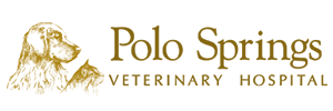 <span>Polo Springs Veterinary Hospital</span>
 logo