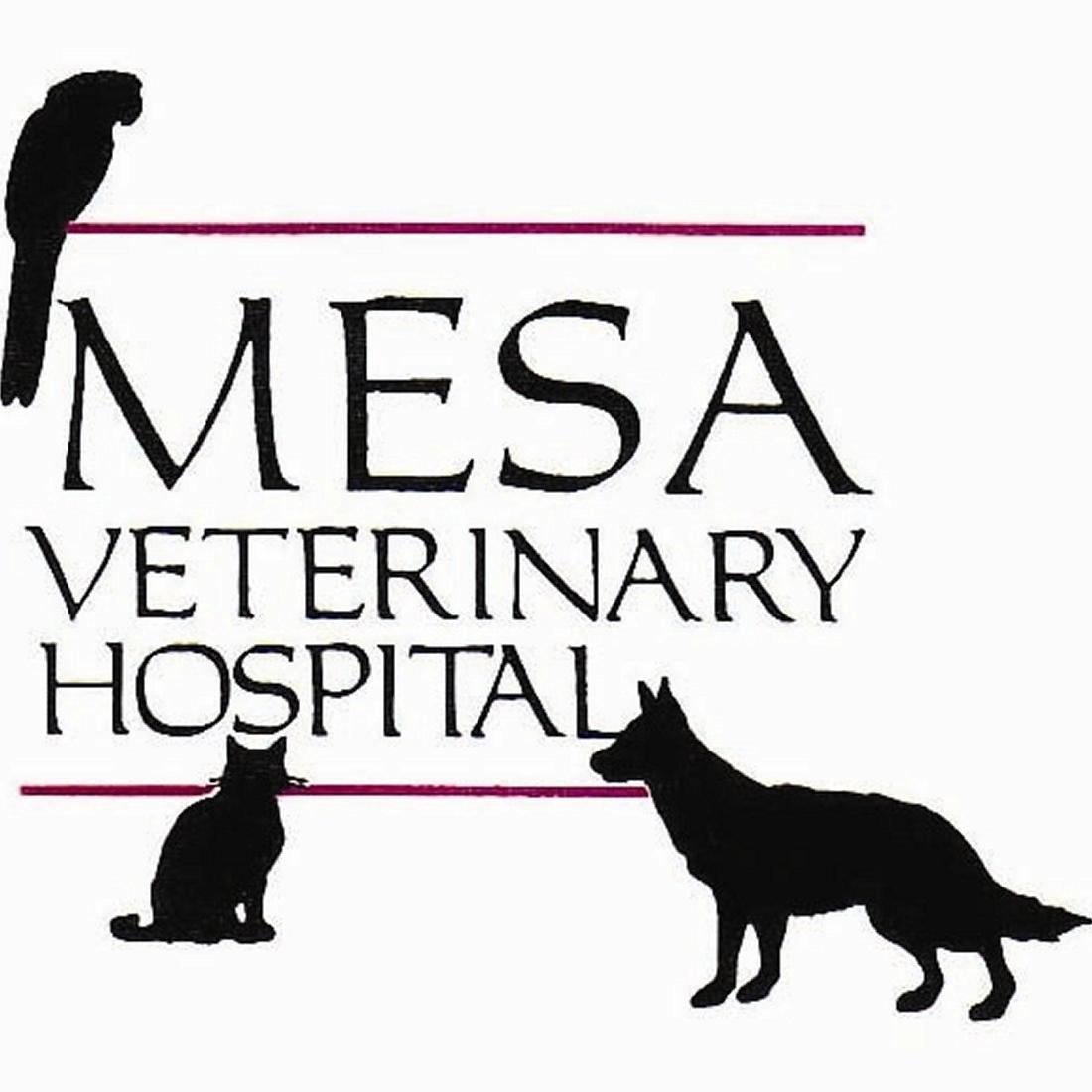 <span>Mesa Veterinary Hospital</span>
 logo